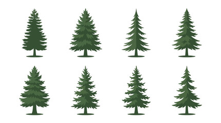 Obraz premium Group of evergreen trees isolated