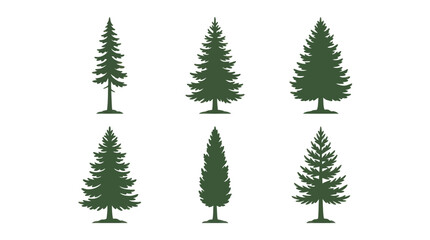 Fototapeta premium Evergreen tree silhouettes collection