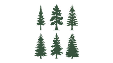 Obraz premium Evergreen tree silhouettes collection