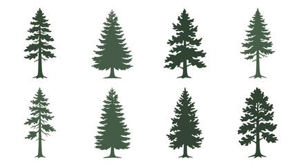 Obraz premium Evergreen tree silhouettes collection