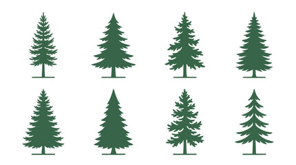 Obraz premium Evergreen tree silhouettes collection