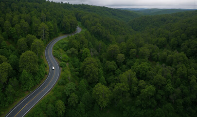 Naklejka premium Misty aerial view of a winding road through lush green forest hills under a cloudy sky with a single white car driving