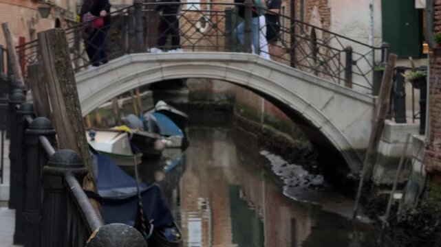 Seagull Taking Flight Over a Quiet Venice Canal