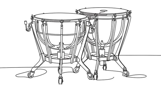 Pair of timpani drums on white background.
