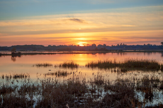 El Roc&iacute;o marsh, Almonte, Huelva, Andalusia, Spain, with a beautiful, orange sunrise