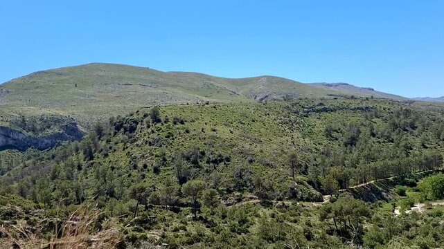 Cinematic slow motion view of green mountain slopes and pine trees in Vall de Ebo Spain from a moving car