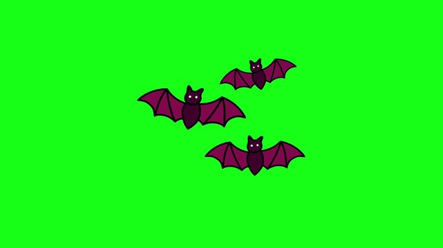 Cute cartoon animation of three bats flapping wings and flying on a green screen background