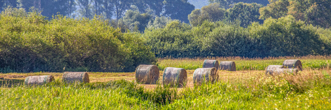 Hay bales in agricultural field during harvest season serene rural landscape with copy space