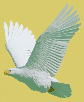 white flying bird, reminiscent of an Eagle but pure white