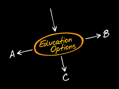Education Options text diagram outlines various choices A, B, and C with arrows. This handwritten layout represents choices, learning paths, academic paths, career strategy, and study selections.