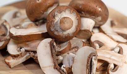 Braune Champignons in einer Nahaufnahme © M. Schuppich
