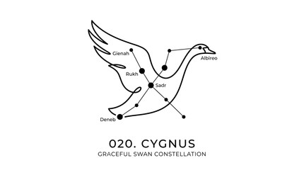 Minimalist black and white swan bird constellation line art illustration © Mafaat