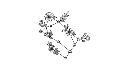 Minimalist celestial star constellation with hand drawn floral botanical elements © Mafaat