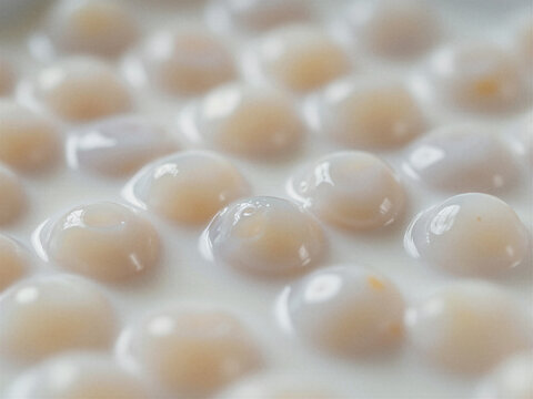 Macro Close Up of Translucent White Tapioca Pearls in Creamy Coconut Milk Dessert Background