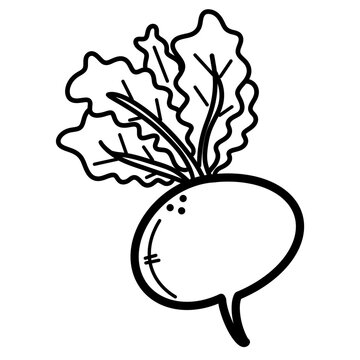 Beetroot