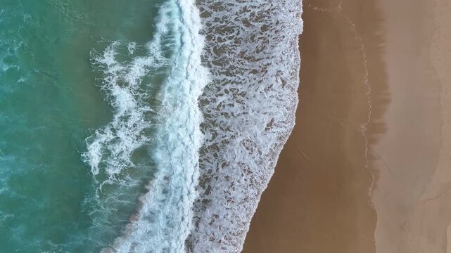 Fuerteventura, Top-down drone view of Atlantic Ocean beach with waves on the left and golden sand on the right, showcasing perfect rule of thirds composition. 60fps