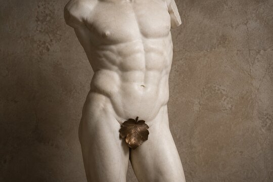 Classical marble sculpture of a male torso with bronze leaf covering.