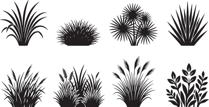 Ornamental Grasses and Landscape Shrubs Silhouette Solid Icon Pack, Botanical Wild Plants and Tufted Garden Grass Vector Elements, Reed Cattail Bulrush, Sawgrass Clump, Fan Palm Shrub, and Ornamental 