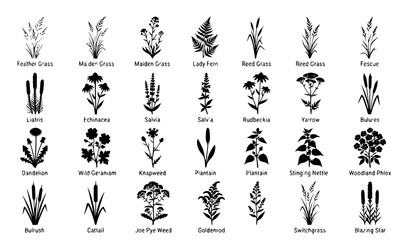 Obraz premium CAD Wild Plant Silhouette Vector Collection with Meadow Grass Fern Dandelion Reed and Botanical Landscape Elements Isolated on White