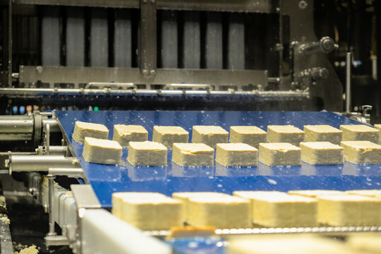 Rows of organic soy tofu blocks on blue automated conveyor belt system
