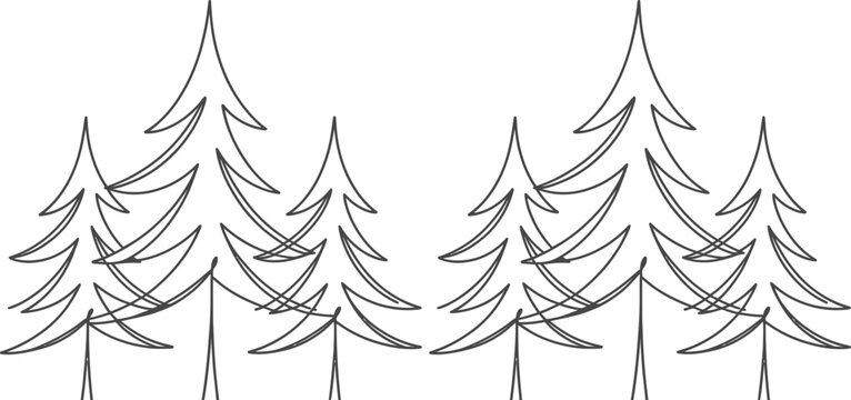Pine tree forest line art. Minimalist evergreen woodland vector illustration.