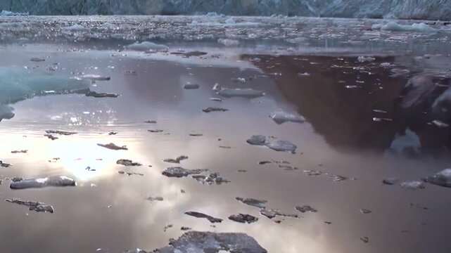 Vast Arctic waters shimmer with floating ice fragments from a majestic glacier. Sunlight dances on the tranquil surface, reflecting the cloudy sky above.