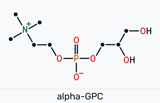 Alpha-GPC, alpha-glycerylphosphorylcholine, choline alfoscerate molecule. Natural choline compound found in the brain for memory, cognition, and nootropic research