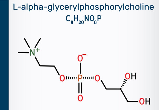 Alpha-GPC, alpha-glycerylphosphorylcholine, choline alfoscerate molecule. Natural choline compound found in the brain for memory, cognition, and nootropic research