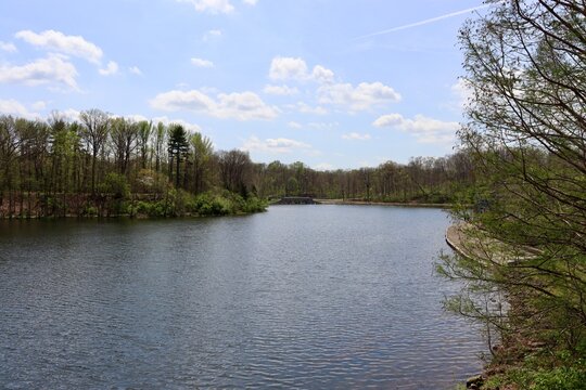 The peaceful lake in the woods on a sunny day.