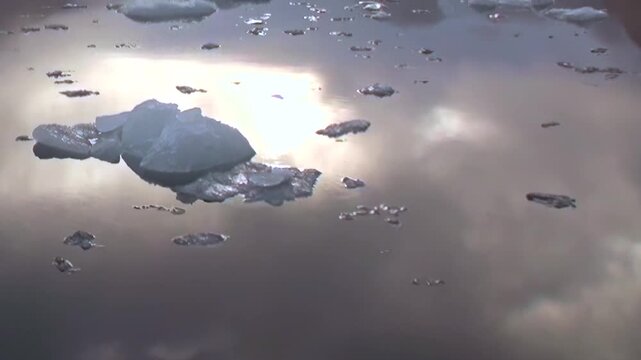 Witness a tranquil expanse of the Arctic Ocean as fragmented glacier ice drifts peacefully across the surface. Sunlight reflects brilliantly, creating a shimmering mirror of the cloudy sky above.