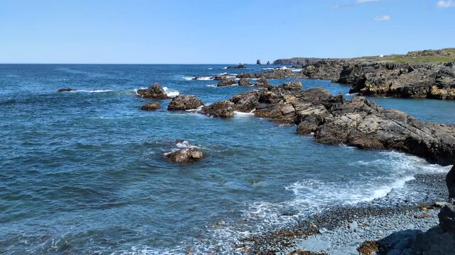 The Bonavista peninsula coast viewed from the cape shore trail (Bonavista, Newfoundland, Canada)