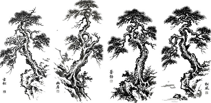 Traditional Chinese Ink Painting Pine Tree Vector Set Featuring Old Gnarled Bonsai Branches, Calligraphy Characters, and Oriental Asian Landscape Design Elements for Cultural Artwork