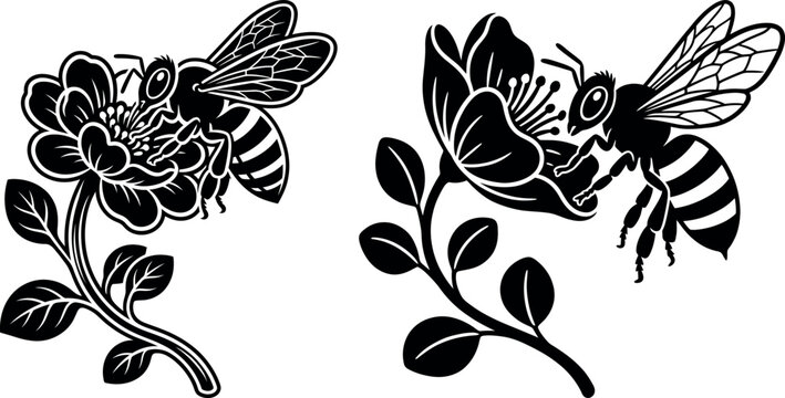 Honey bee and flower blossom illustrations in black and white with pollination wildlife botanical