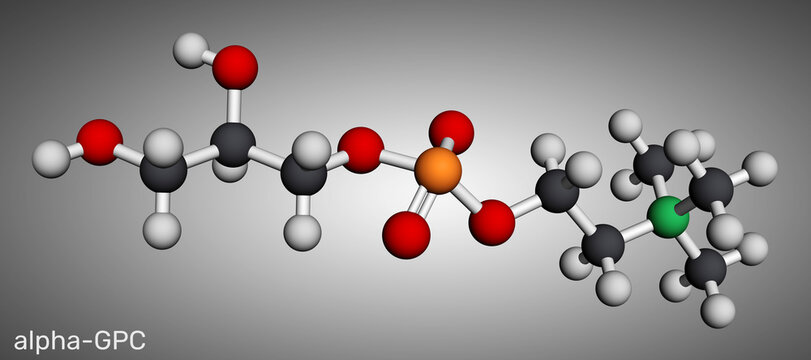 Alpha-GPC, alpha-glycerylphosphorylcholine, choline alfoscerate molecule. Natural choline compound found in the brain for memory, cognition, and nootropic research. 3D render