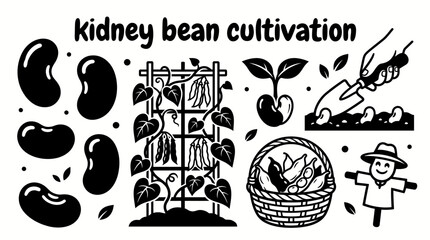 healthy kidney bean plants growing across fertile farmland with agricultural fields harvesting season rural scenery and sustainable crop production environment © Ethan