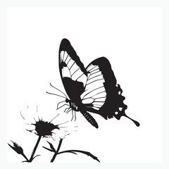 butterfly vector illustration © bariyanto