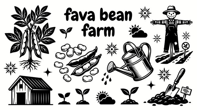 broad bean plants growing across a fertile countryside farm with green fields agricultural landscape harvesting season and sustainable cultivation