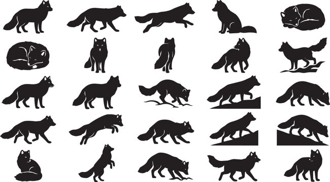 Arctic Fox Silhouette Pose Set Polar Animal Black Vector Collection
