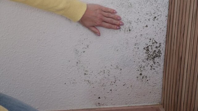 Young woman kneeling on floor, looking horrified and concerned as discovers and inspects toxic black mold and fungus growing on corner of bedroom wall