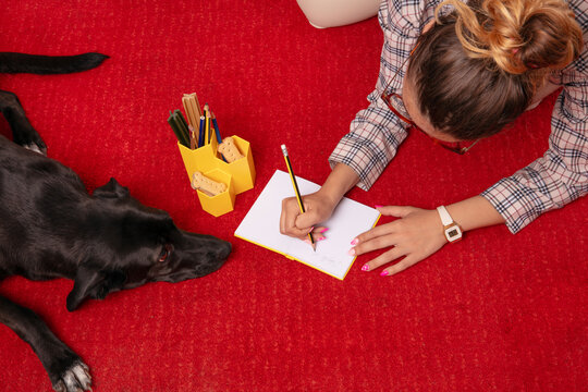 Writing Notes With Dog