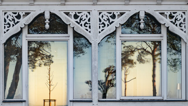 Pine Tree Reflections in Historic Binz Resort Villa