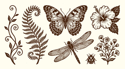 Hand Drawn Botanical and Insect Illustrations Featuring Butterflies and Ferns for Nature Inspired Decor and Creative Graphic Design Projects © Crushin