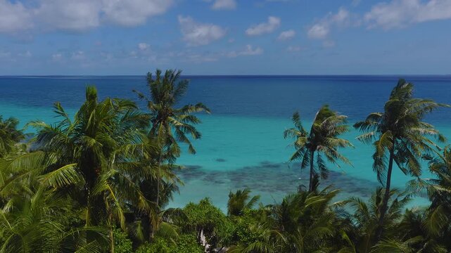 Aerial daytime view over Dhigurah Island, Maldives. Coconut palms bend in a light breeze as gentle waves lap the shallow reef and coral patches meet the open ocean.
