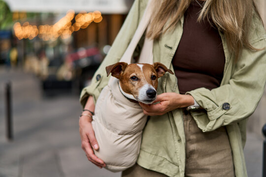 Young Woman Walking City Street With Small Dog In A Cozy Carrier