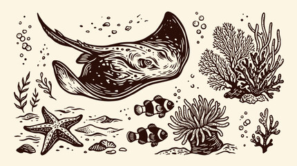 Hand Drawn illustration of a Stingray swimming near Coral Reef with Starfish and Seaweed underwater © Crushin