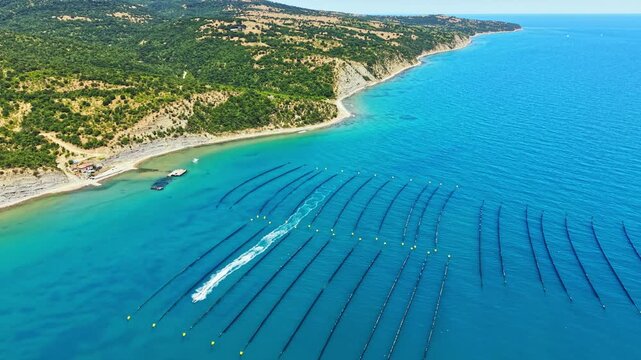 A mussel farm operates in the clear waters close to the shore, with long lines set in the sea for cultivating mussels. Boats are visible in the background, and land is seen in the distance.
