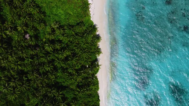 Aerial view of Dhigurah Island, Maldives shows palm canopy, white sand, and a turquoise lagoon with dark coral patches as gentle waves roll toward the shore.