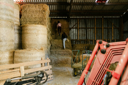 teen girls playing in a barn/farm
