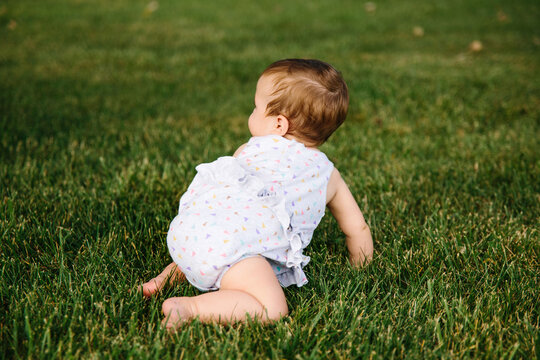baby girl crawling in grass