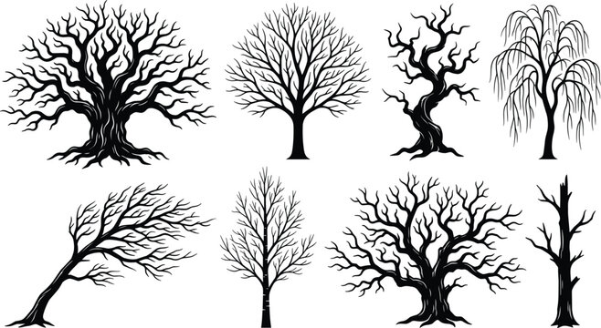 Spooky winter tree collection including windswept willow oak and gnarled branches perfect for halloween decorations laser cutting engraving logos and rustic elements
